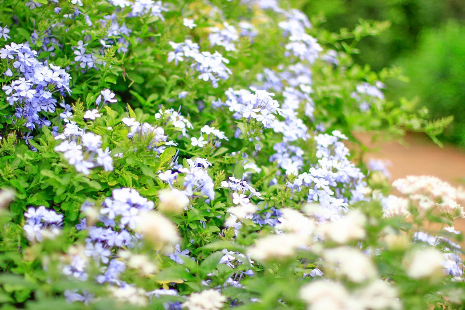 Pottery Flower B&B จี๋จี๋ ภายนอก รูปภาพ